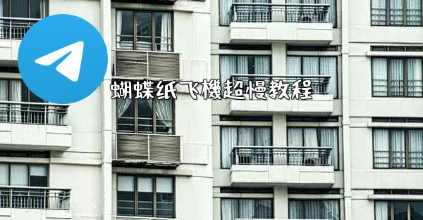 <b>蝴蝶纸飞機超慢教程</b>