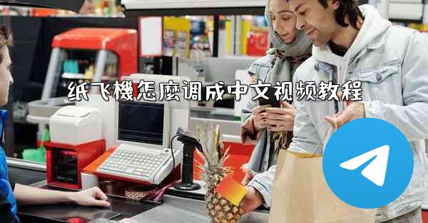 纸飞機怎麼调成中文视频教程