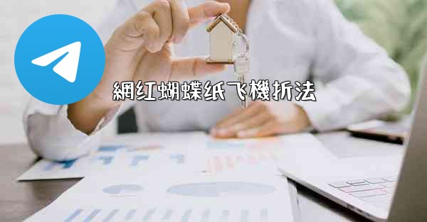 網红蝴蝶纸飞機折法