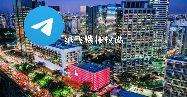 纸飞機授权碼