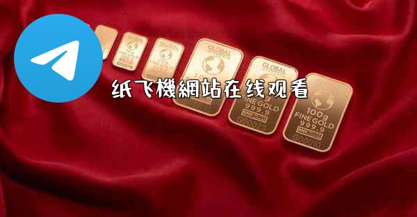 纸飞機網站在线观看