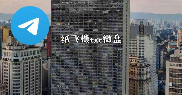 纸飞機txt微盘