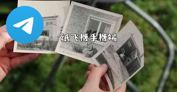 纸飞機手機端