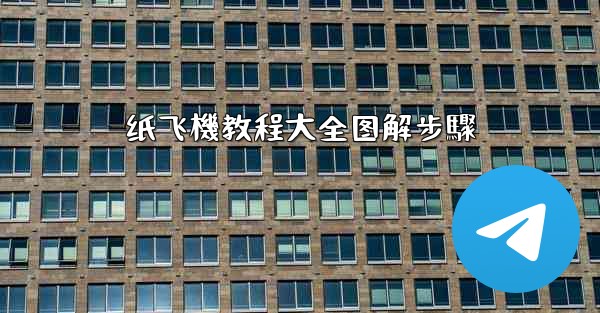 纸飞機教程大全图解步驟
