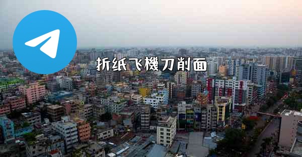 折纸飞機刀削面