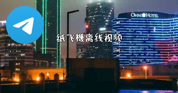 纸飞機离线视频