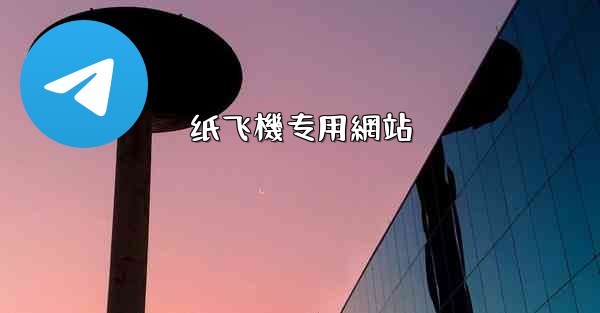 纸飞機专用網站