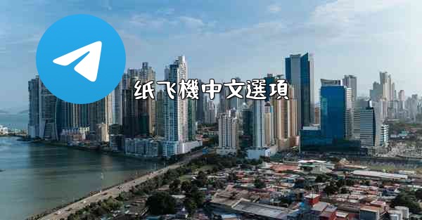 纸飞機中文選項