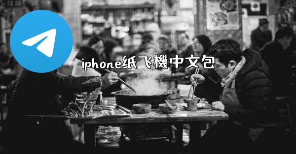 iphone纸飞機中文包