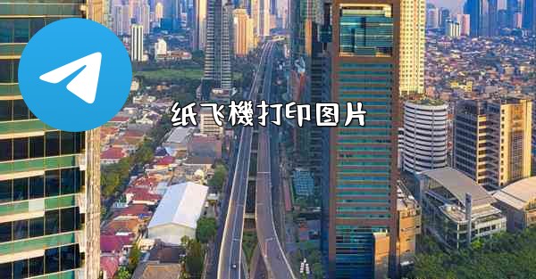 纸飞機打印图片