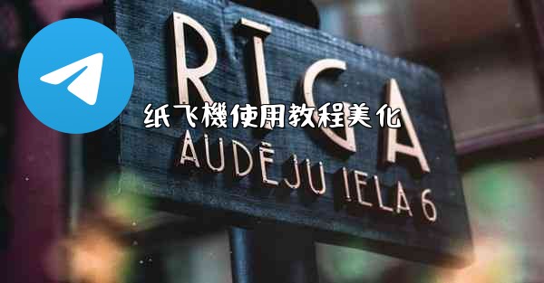 纸飞機使用教程美化