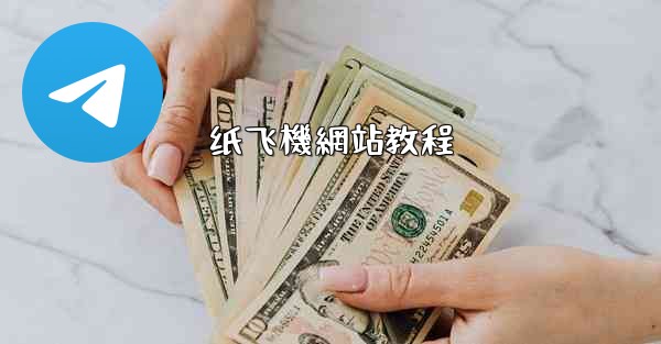 纸飞機網站教程