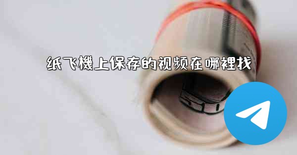 纸飞機上保存的视频在哪裡找