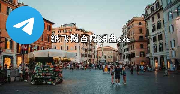 纸飞機百度網盘txt