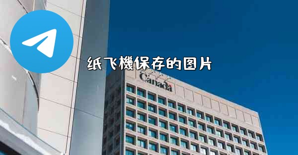 纸飞機保存的图片