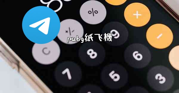 pubg纸飞機