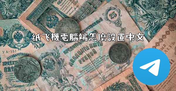 纸飞機電腦端怎麼設置中文