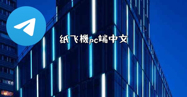 纸飞機pc端中文