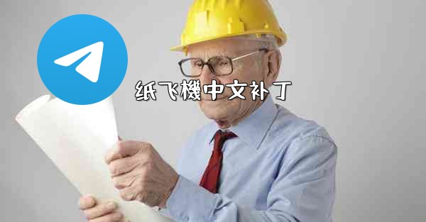 纸飞機中文补丁