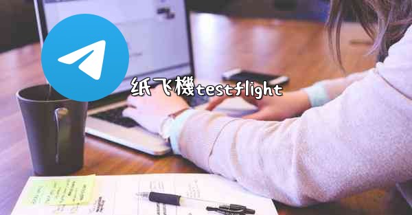 纸飞機testflight
