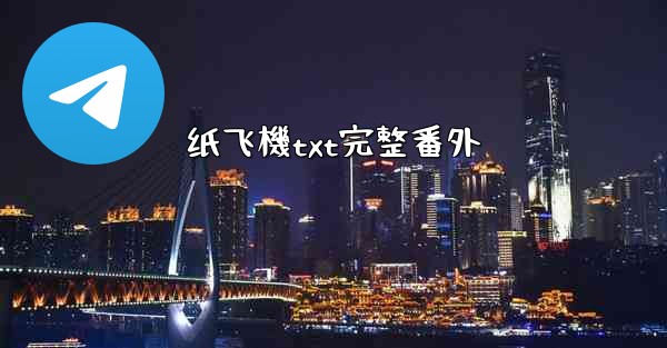 纸飞機txt完整番外