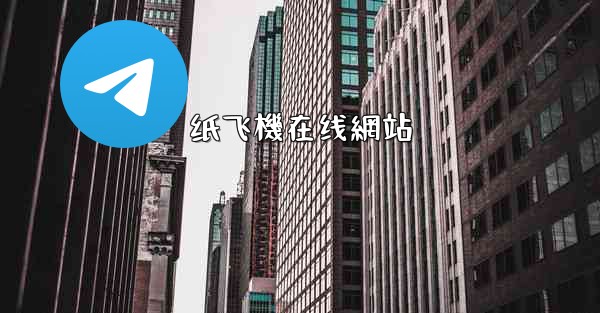 纸飞機在线網站