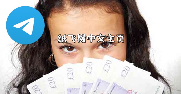 纸飞機中文主页