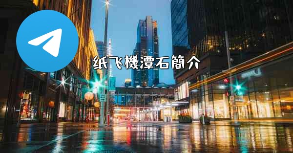 纸飞機潭石簡介