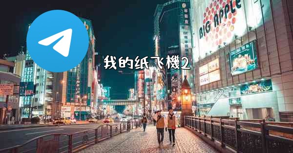 我的纸飞機2