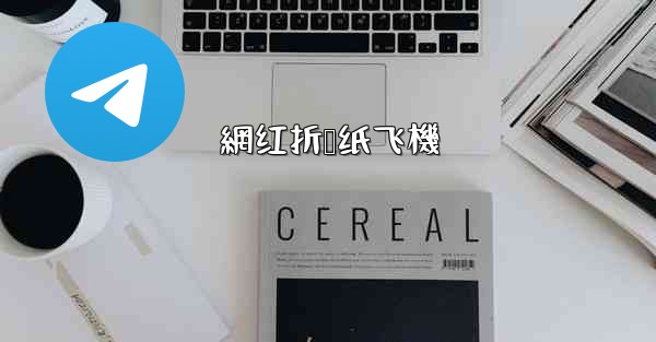 網红折叠纸飞機