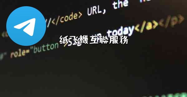 纸飞機互聯服務