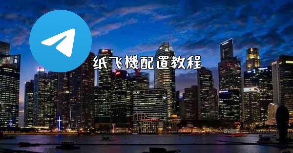 纸飞機配置教程