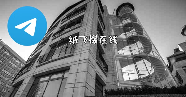 纸飞機在线