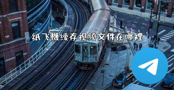 纸飞機缓存视频文件在哪裡