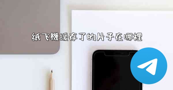 纸飞機缓存了的片子在哪裡
