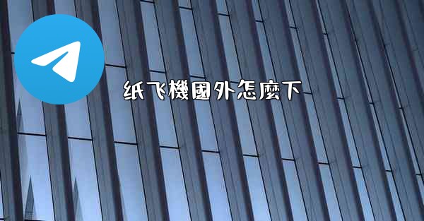 纸飞機國外怎麼下