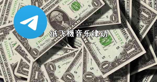 <b>纸飞機音乐律动</b>