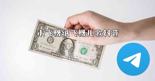 小飞機纸飞機儿歌抖音