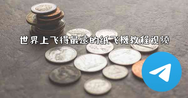 世界上飞得最遠的纸飞機教程视频
