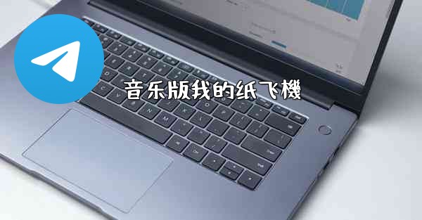 音乐版我的纸飞機