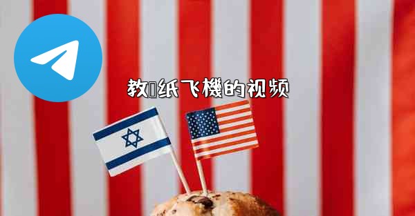 教叠纸飞機的视频