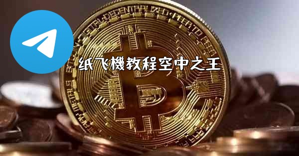 纸飞機教程空中之王