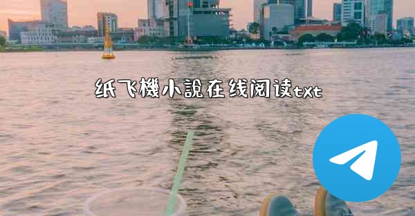 纸飞機小說在线阅读txt