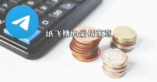 纸飞機的爱情寓意