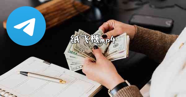 纸飞機mp4