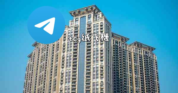 tcg纸飞機