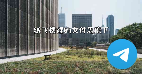 纸飞機裡的文件怎麼下