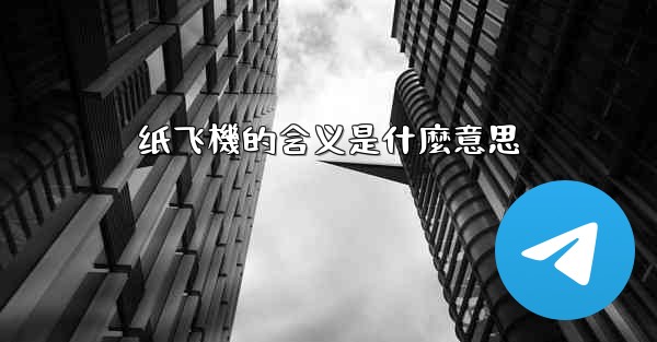 纸飞機的含义是什麼意思