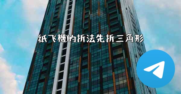 纸飞機的折法先折三角形
