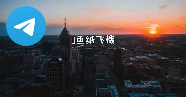 <b>鲨鱼纸飞機</b>